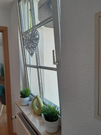 Ferienwohnung Salzmannhaus Zschopau Extérieur photo